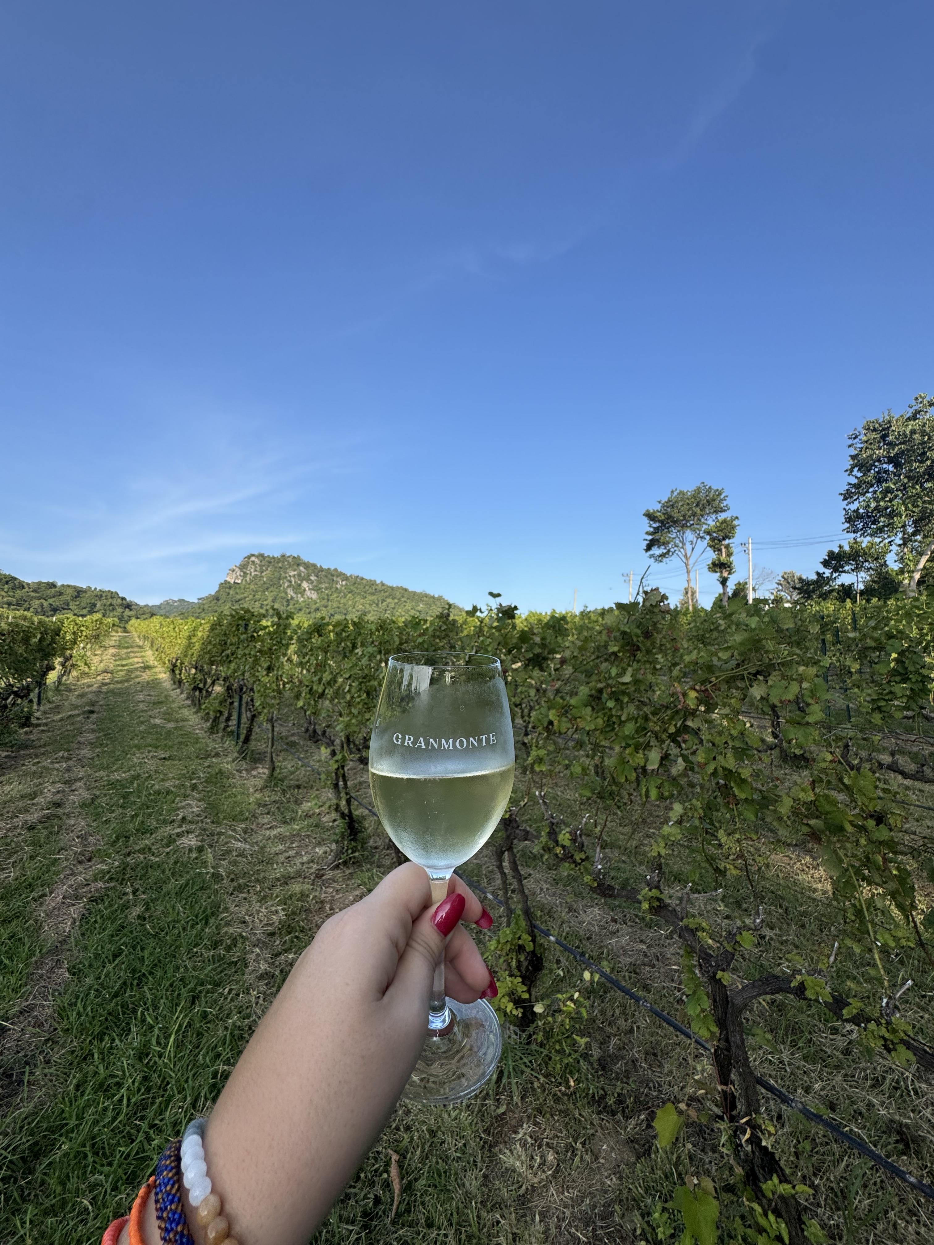 GranMonte Khao Yai: An Unforgettable Vineyard Experience in Thailand