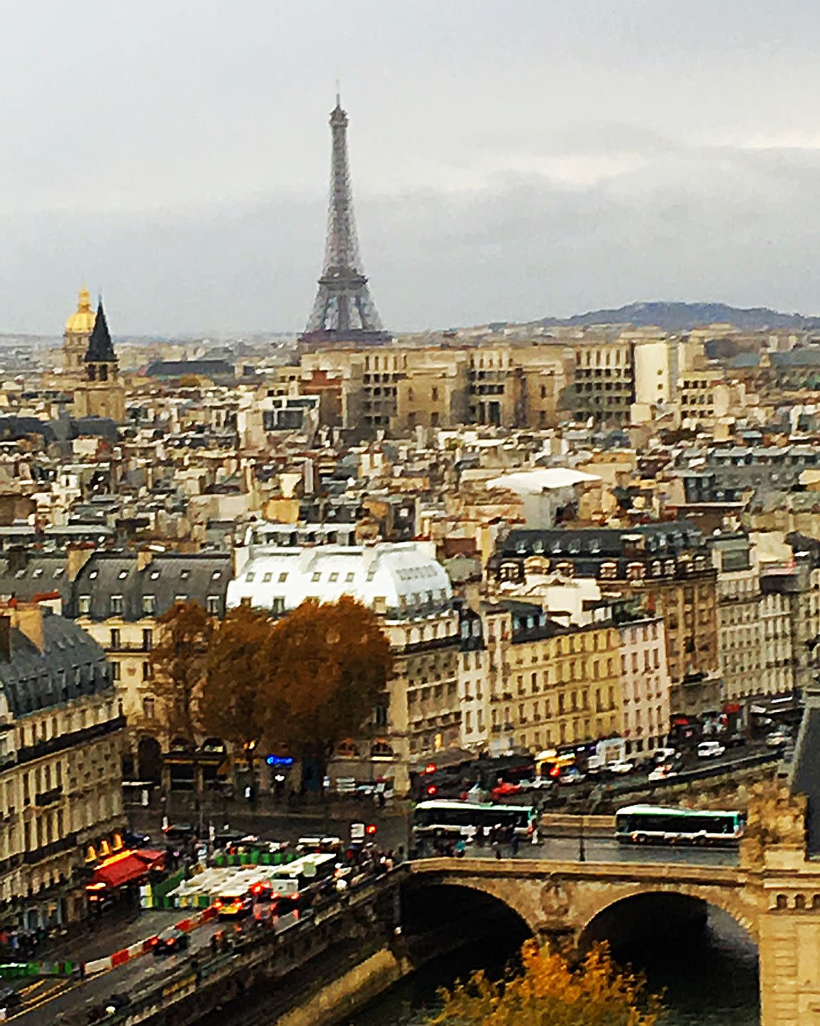 Advisor - American NFL Football Meets French Elegance in Paris