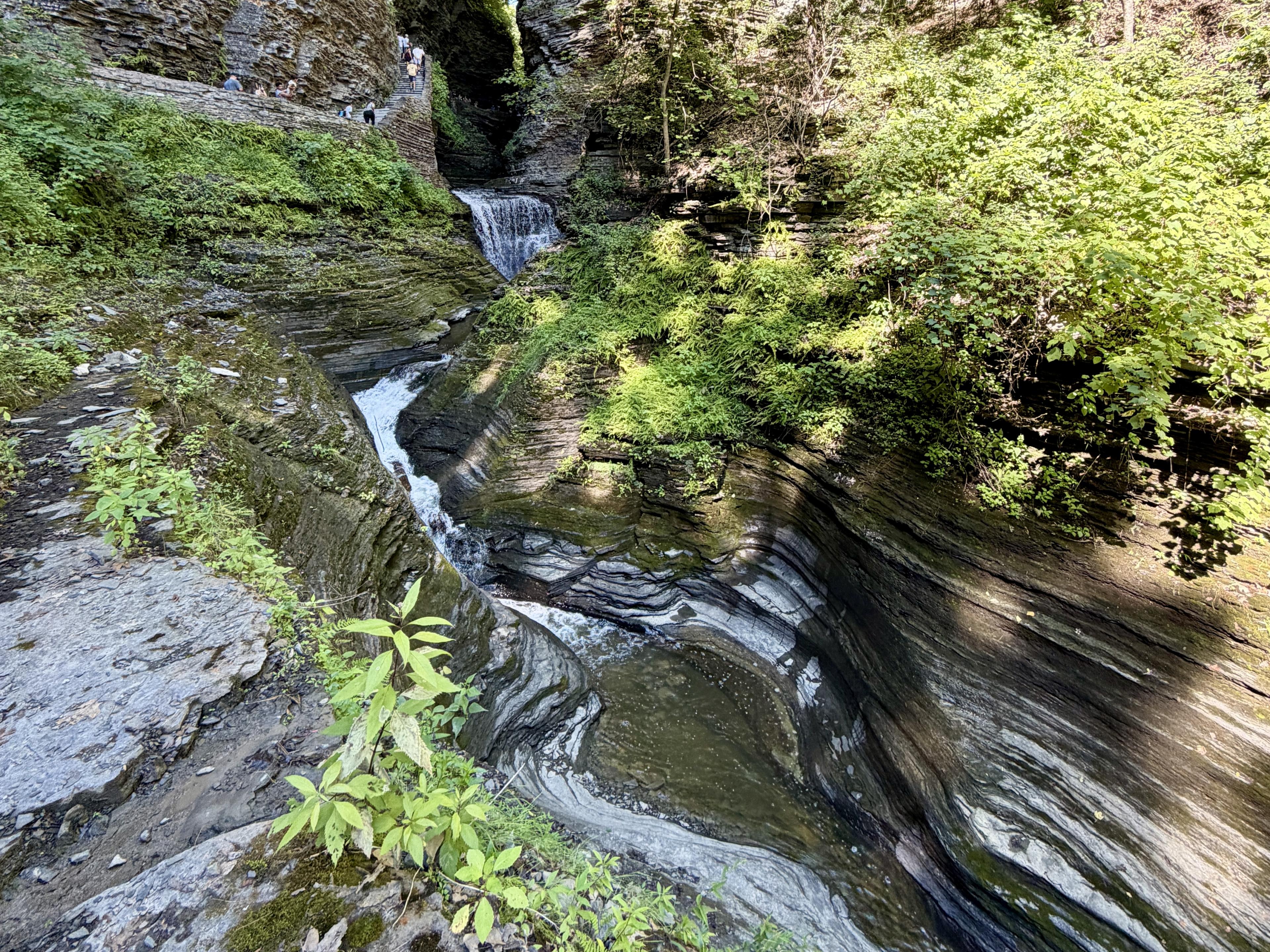 Advisor - Gorges, Grapes & Getaways: Escape to the Finger Lakes