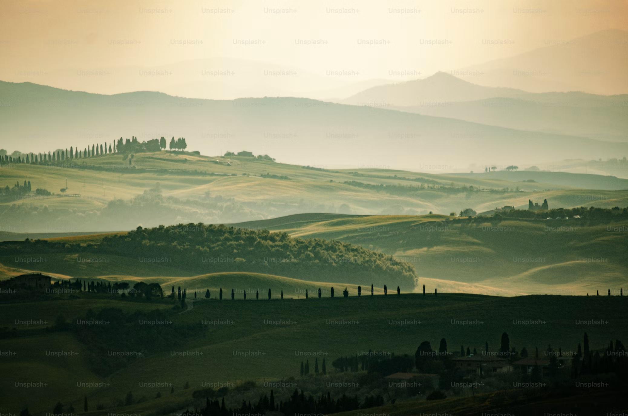 Advisor - Best of Tuscany: 4 Days in Chianti Dream Wine Region
