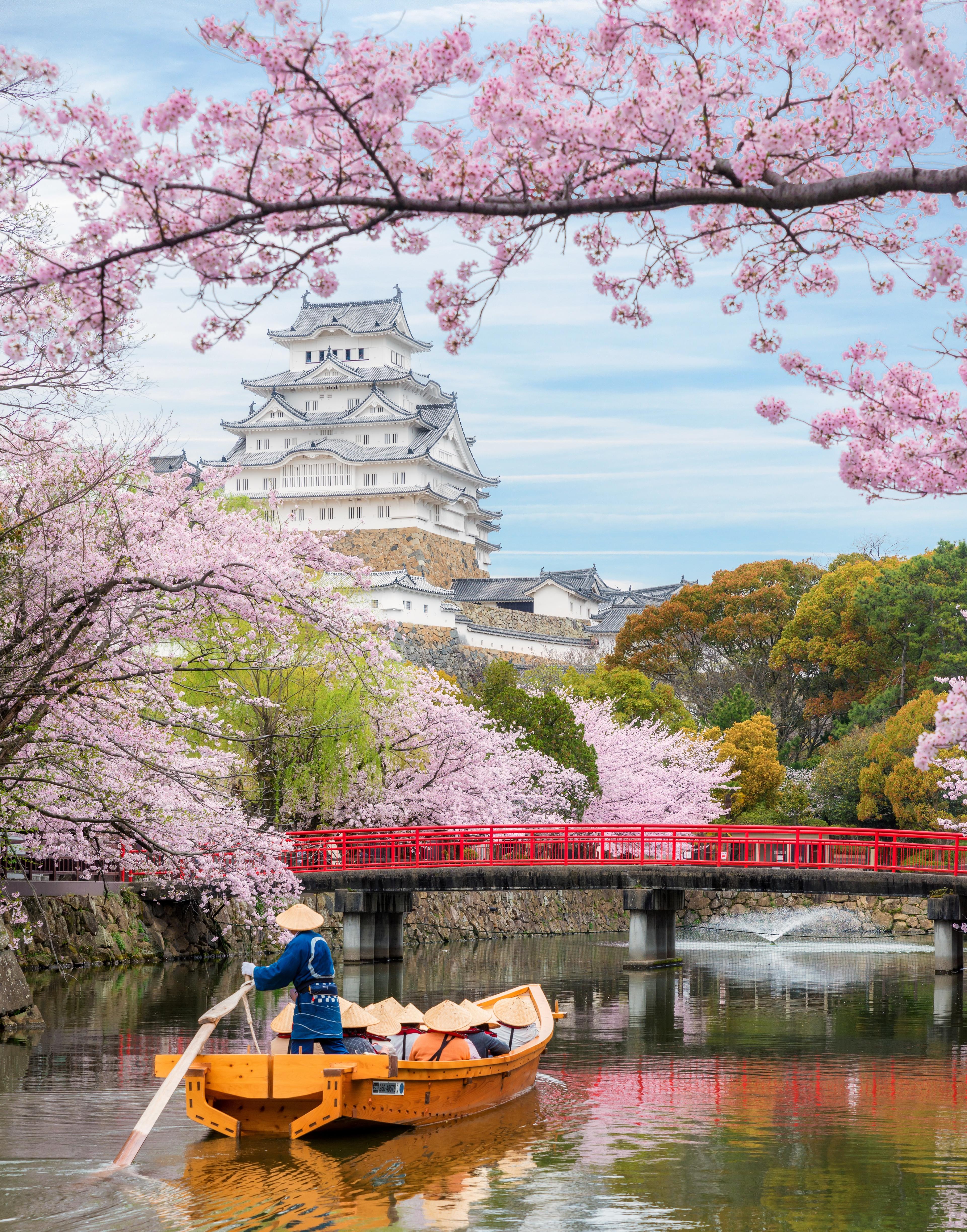 Advisor - Japan Cherry Blossom Cruise: Hong Kong to Tokyo on Ritz-Carlton Yacht Luminara
