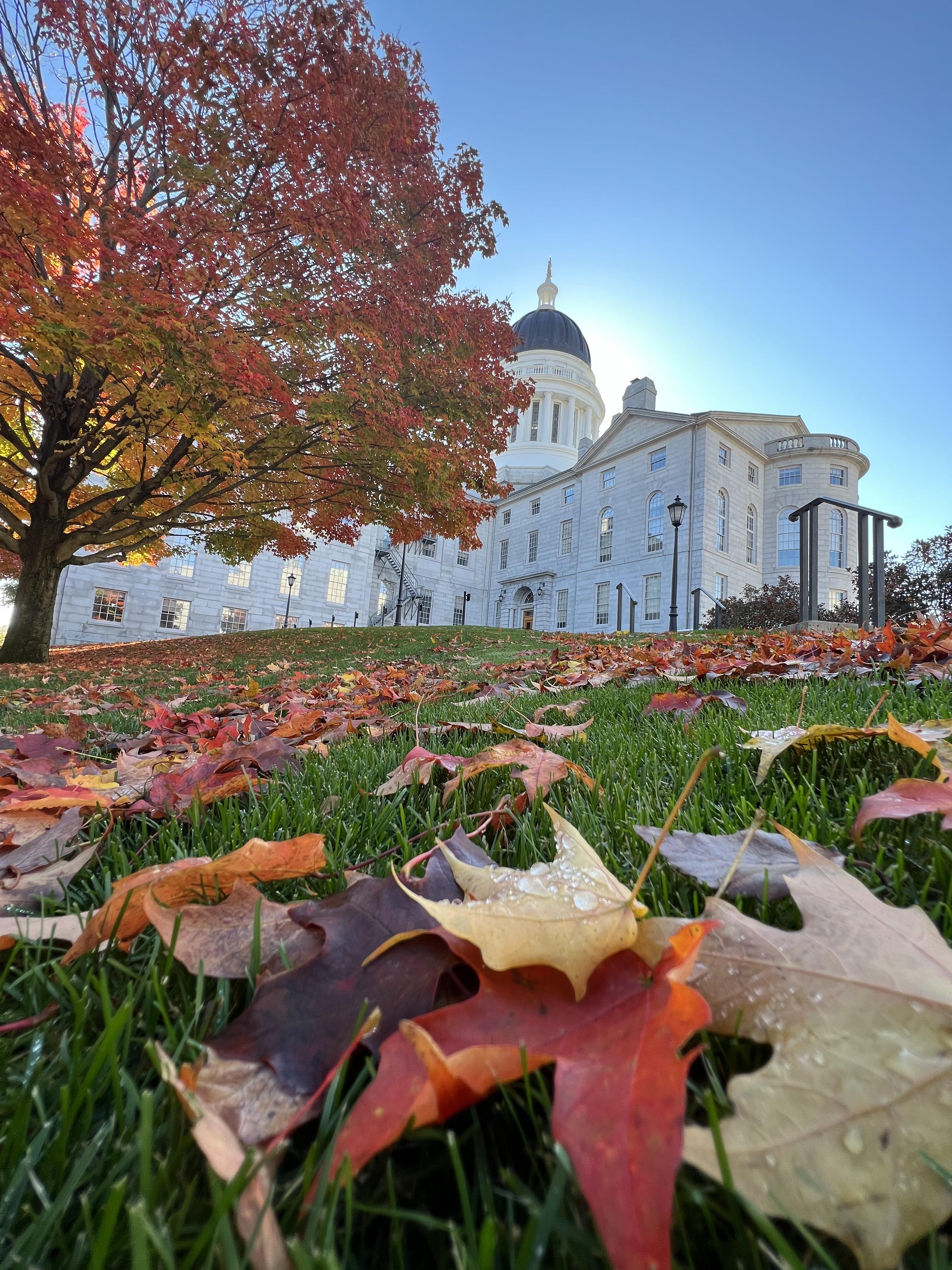 Advisor - Crimson Canopy: Discover Maine’s Fall Splendor on a Van Life Adventure