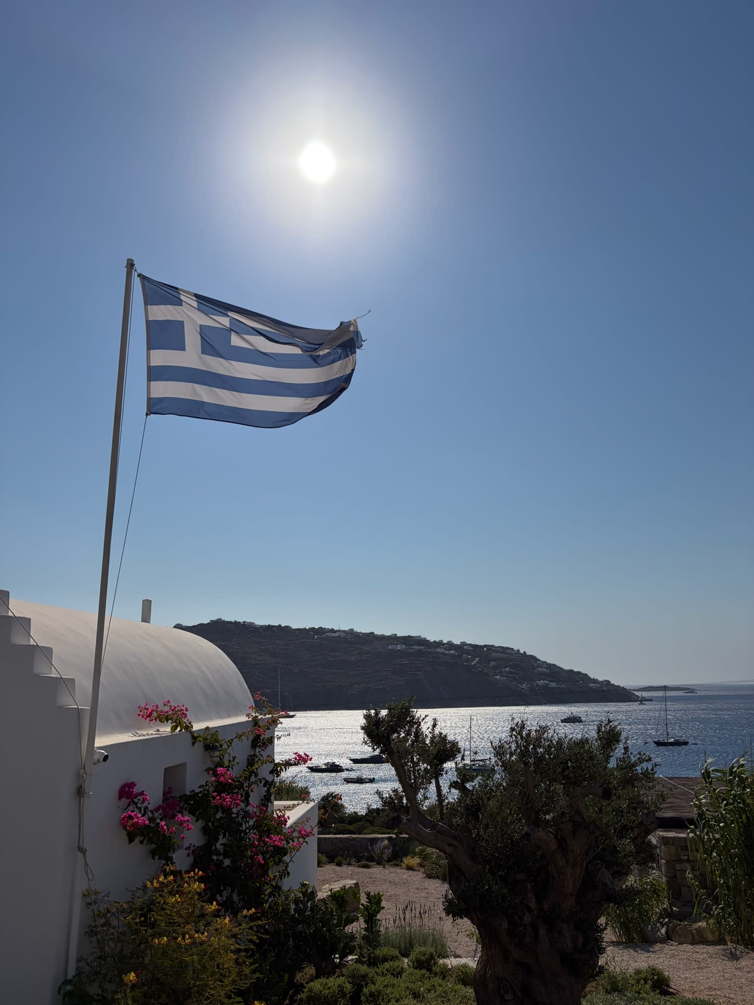 Advisor - A Greek Island Escape: One Week in Mykonos & Santorini